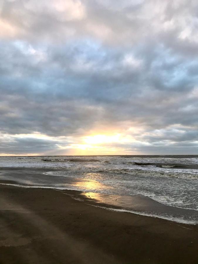 Hippocampus Aan Zee Hotell Katwijk aan Zee Exteriör bild