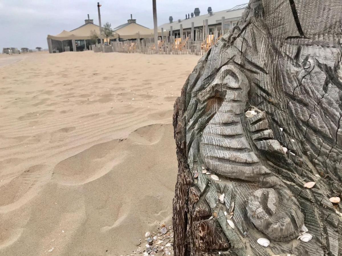 Hippocampus Aan Zee Hotell Katwijk aan Zee Exteriör bild